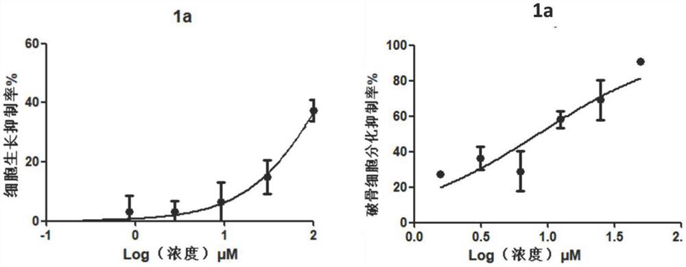 Application of thiazole benzamide derivatives in the preparation of anti-osteoporosis and anti-osteoarthritis drugs