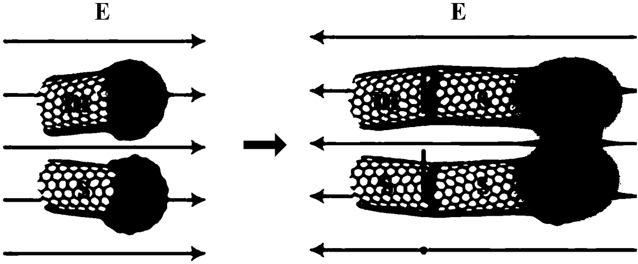 Method for preparing carbon nanotube