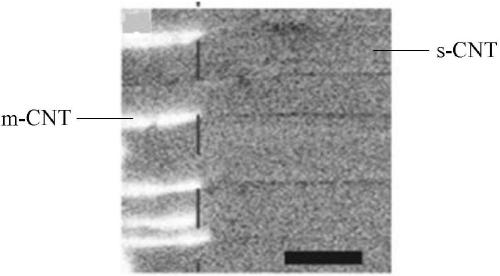 Method for preparing carbon nanotube