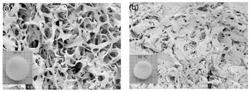 A temperature-sensitive sodium alginate/cellulose ether composite hydrogel and its preparation method and application