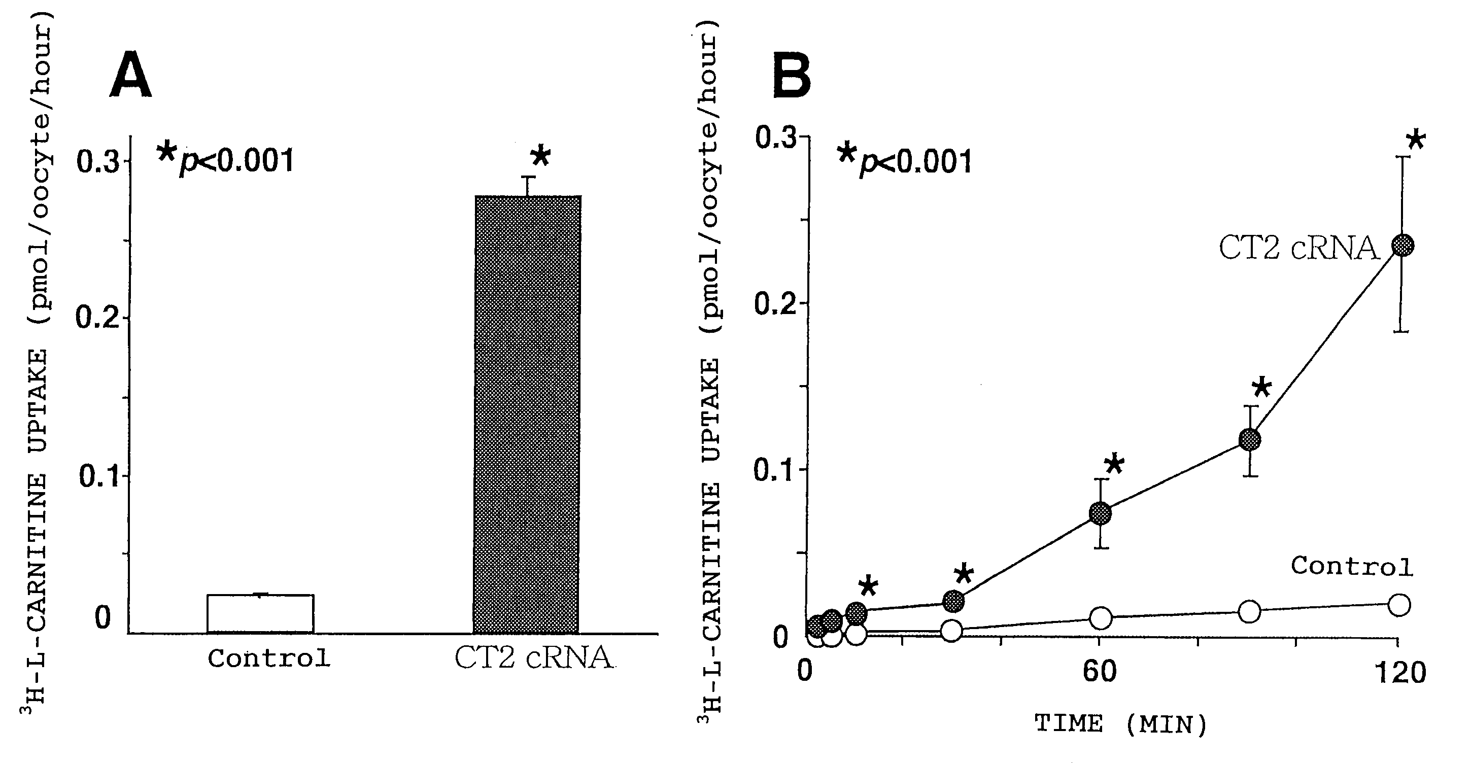 Method of modulating a testicular carnitine transporter