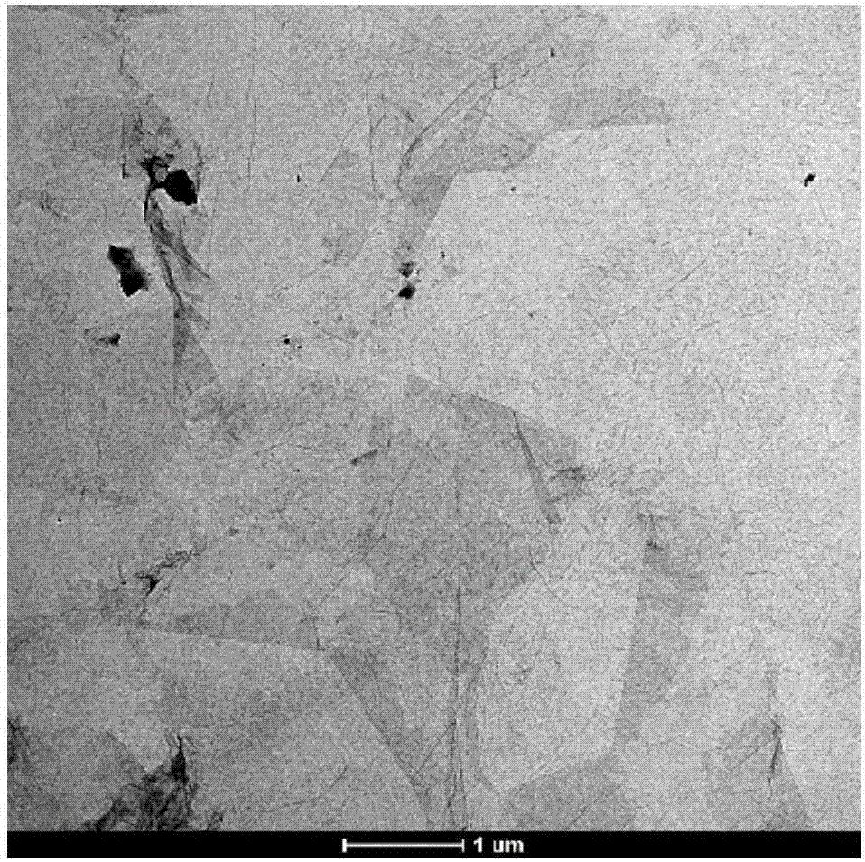 Preparation method of polymer foam-based multi-stage carbon nanocomposite pressure-sensitive material