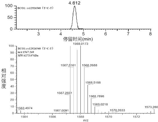 Single-base extension primer group and method for detecting polymorphism of vitamin A metabolism related gene