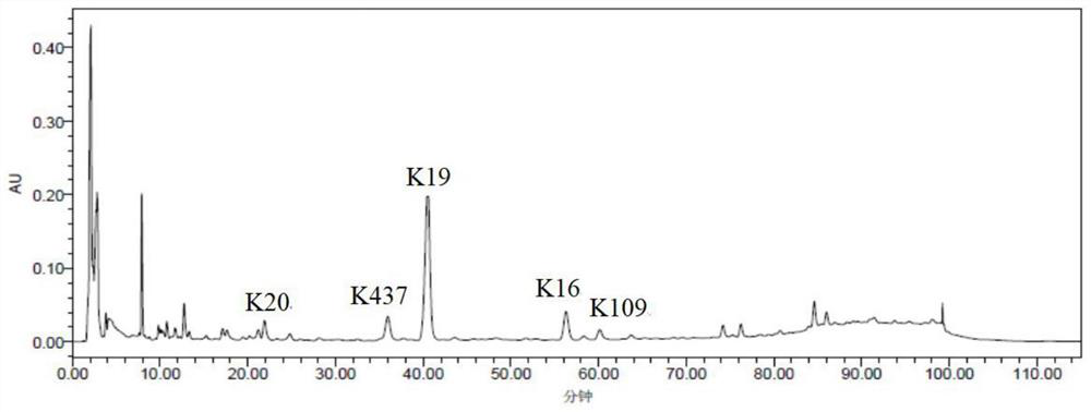 A kind of custard apple seed extract for treating choriocarcinoma and its preparation method and application