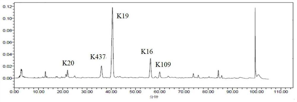 A kind of custard apple seed extract for treating choriocarcinoma and its preparation method and application