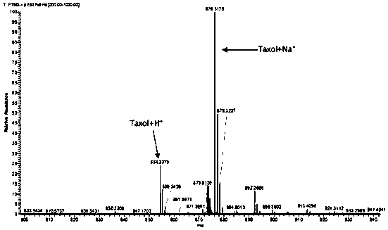 A taxol-producing endophytic fungus Aspergillus aculeatus tax-6 and its application