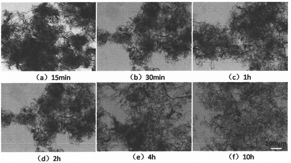 Cellulose nano fiber/polylactic acid composite material and preparation method thereof