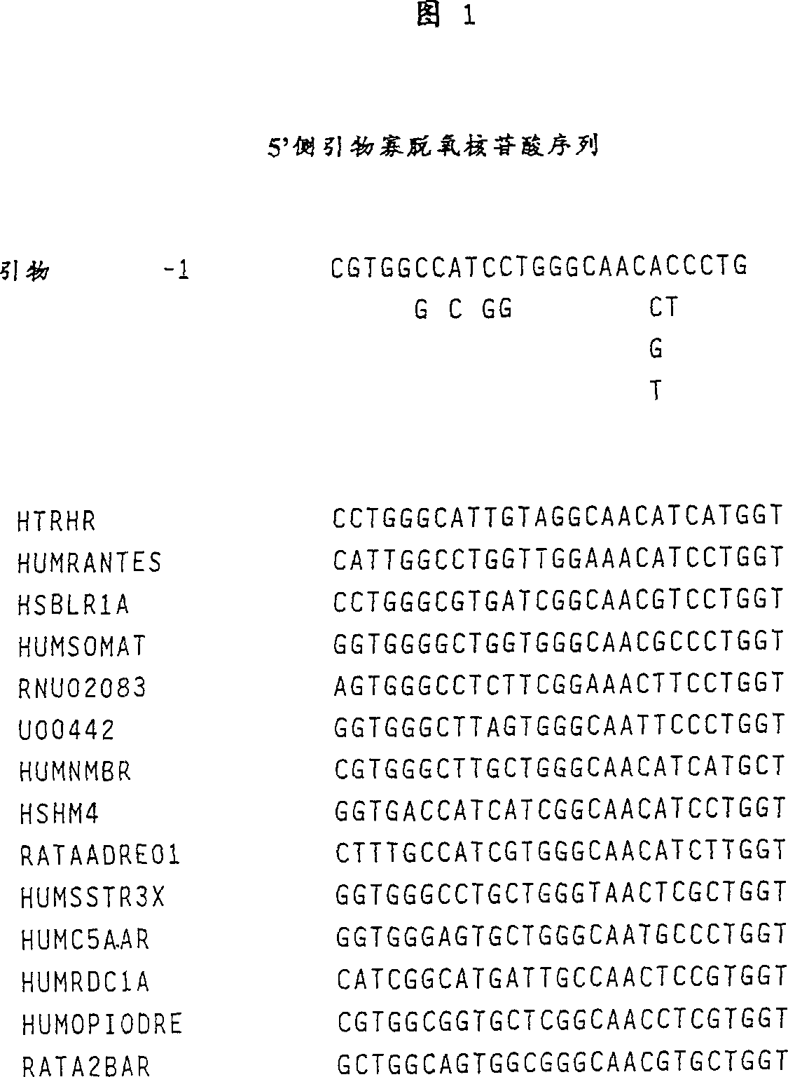 G protein coupled acceptor protein, its production method and use