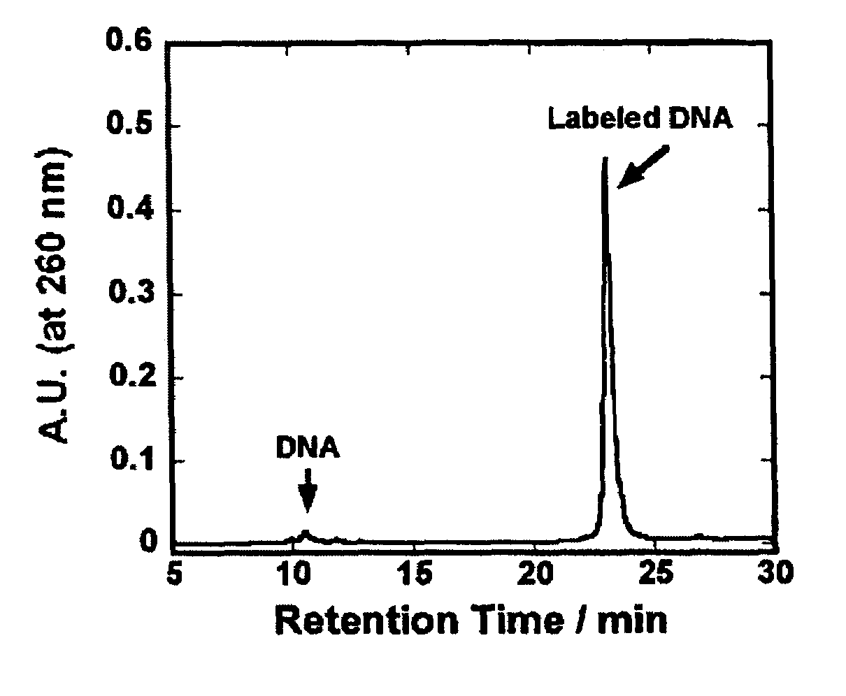 Method of detecting biological molecules, and labeling dye and labeling kit used for the same