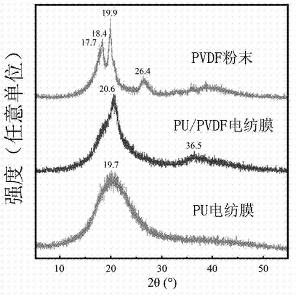 Functional wound dressing capable of accelerating wound healing and preparation method thereof