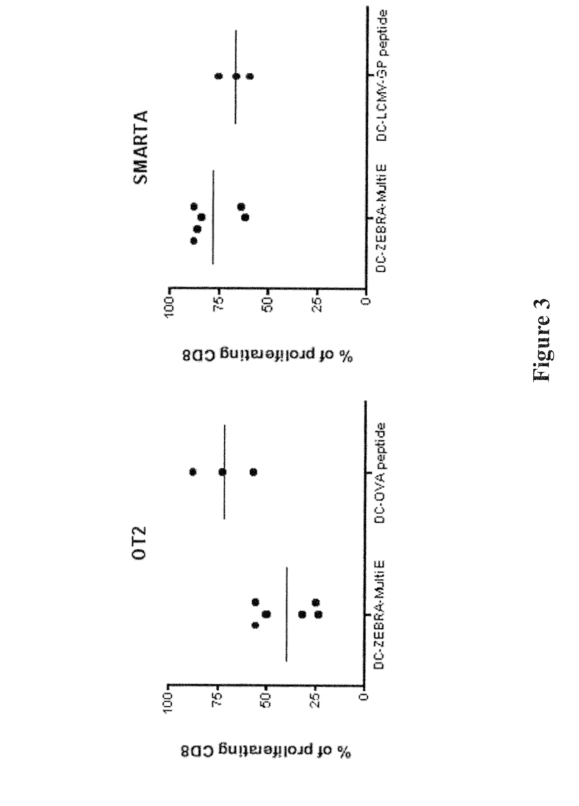 Multi-epitopic vaccine