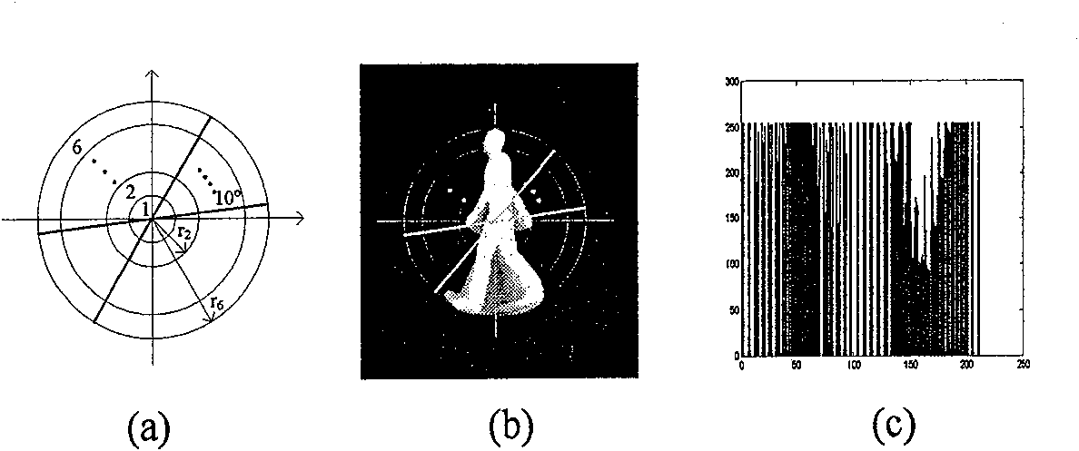 An identification method for movement by human bodies irrelevant with the viewpoint based on stencil matching