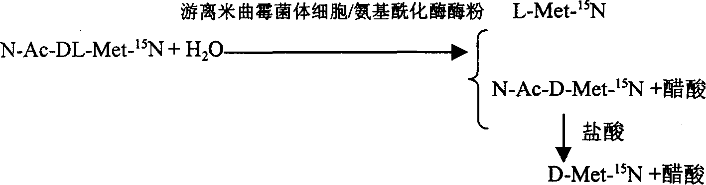 Enzyme method for detaching and preparing L-methionine-15N and D-methionine-15N