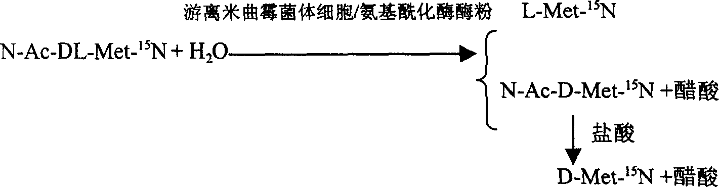 Enzyme method for detaching and preparing L-methionine-15N and D-methionine-15N