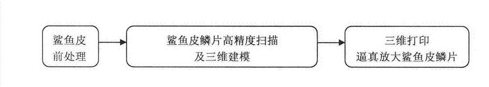 Method for manufacturing amplified vivid sharkskin squama