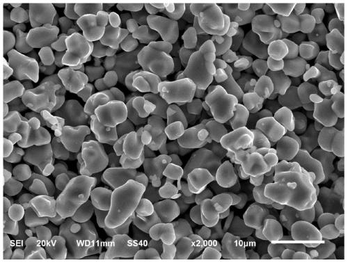 High-nickel ternary positive electrode material with single crystal morphology and preparation method of high-nickel ternary positive electrode material