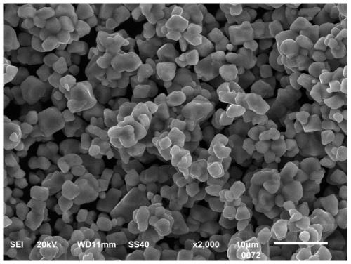 High-nickel ternary positive electrode material with single crystal morphology and preparation method of high-nickel ternary positive electrode material