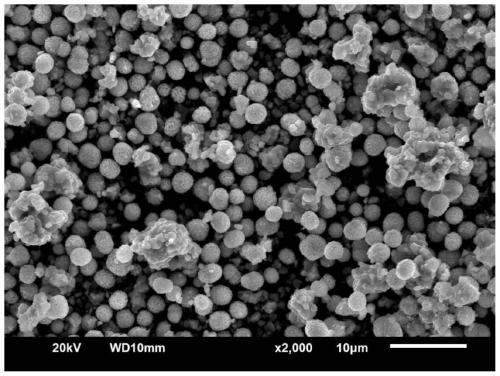 High-nickel ternary positive electrode material with single crystal morphology and preparation method of high-nickel ternary positive electrode material