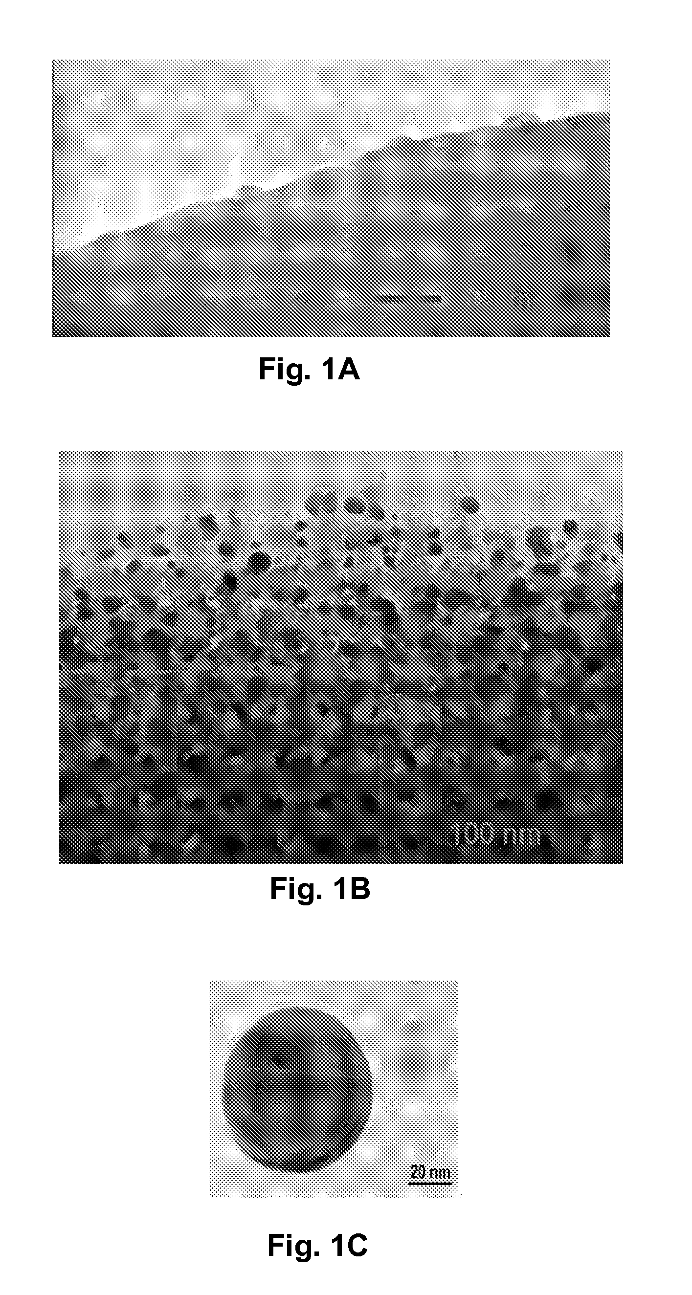 Carbon-Encased Metal Nanoparticles and Sponges, Methods of Synthesis, and Methods of Use