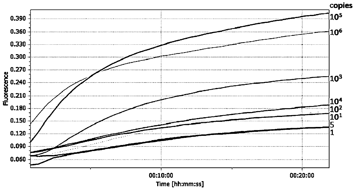 Real-time fluorescence RPA detection kit for aspergillus fumigatus as well as special primer and probe thereof