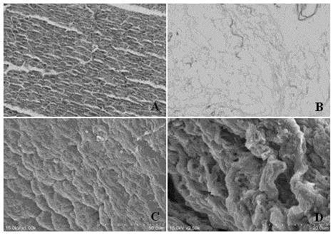 Kit for pancreatic decellularized scaffold, preparation of scaffold and replanting method