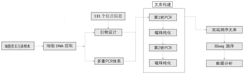 Cell cross contamination detection method and application thereof