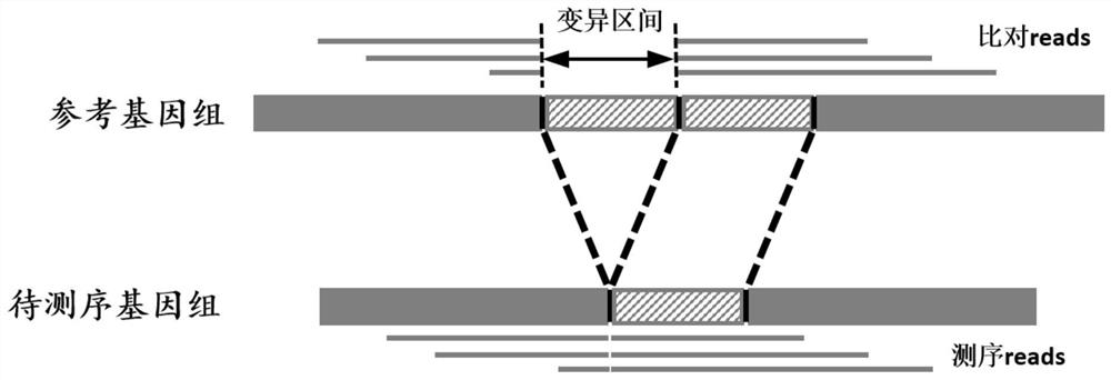 A Benchmark Set-Based Method for Genome Structural Variation Performance Detection