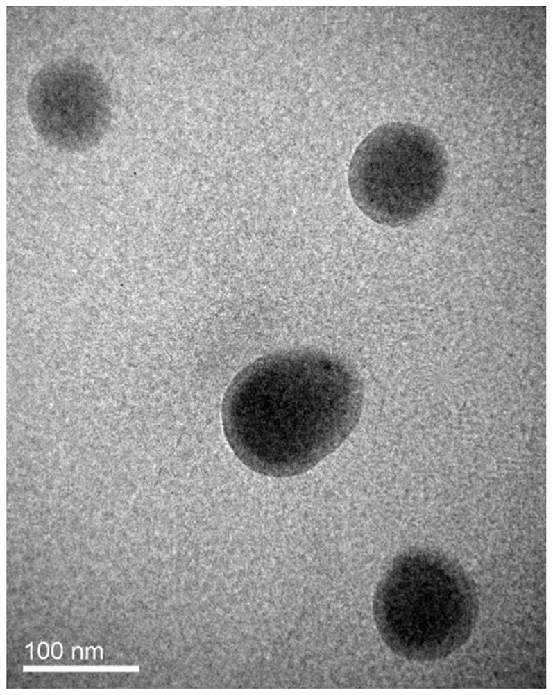 A kind of chitosan nano microbubble and its preparation method and application