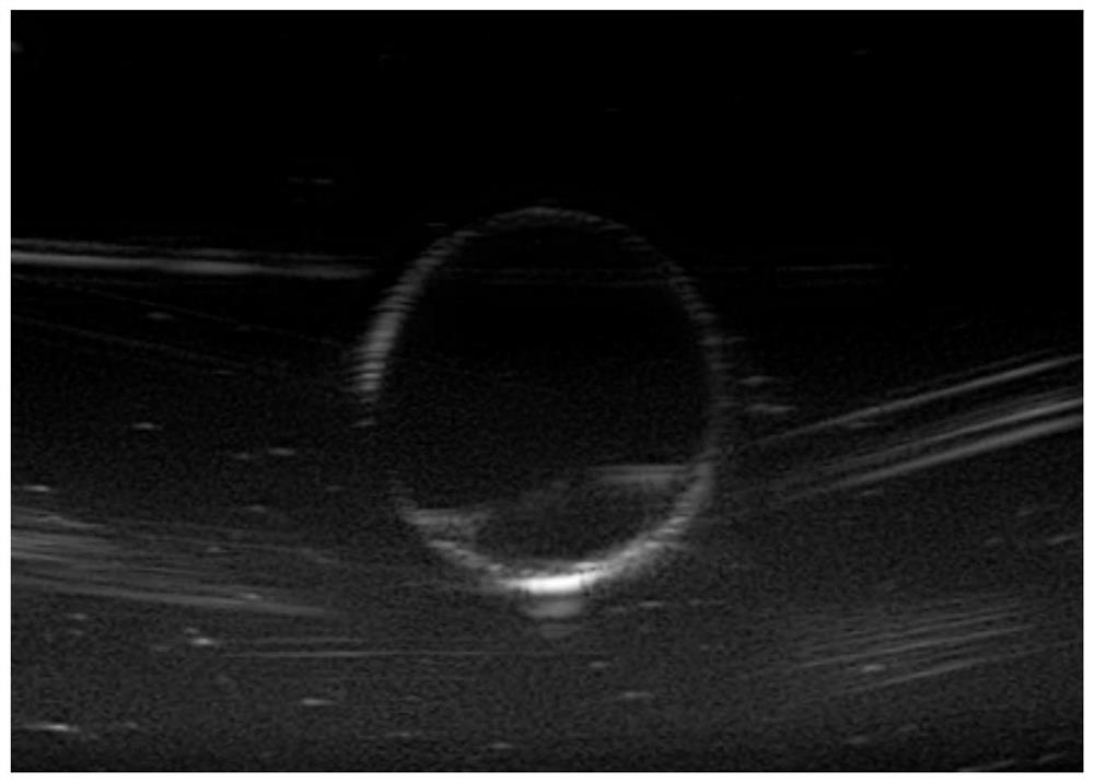 A kind of chitosan nano microbubble and its preparation method and application