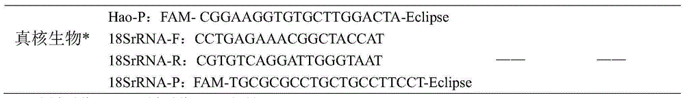 Fluorescent PCR (polymerase chain reaction) detection method, amplifier and probe for raccoon dogs