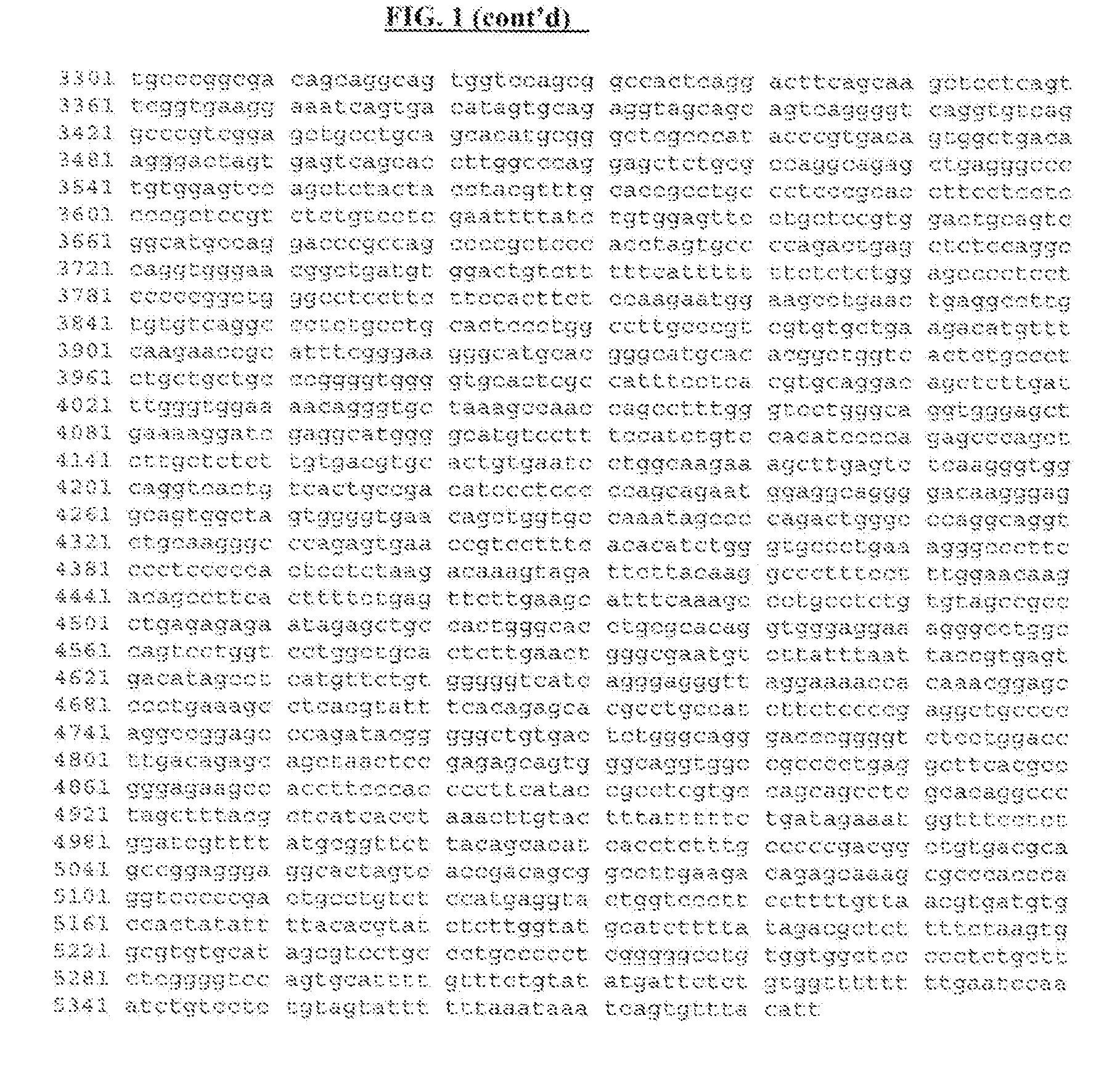 Bcr-abl1 splice variants and uses thereof