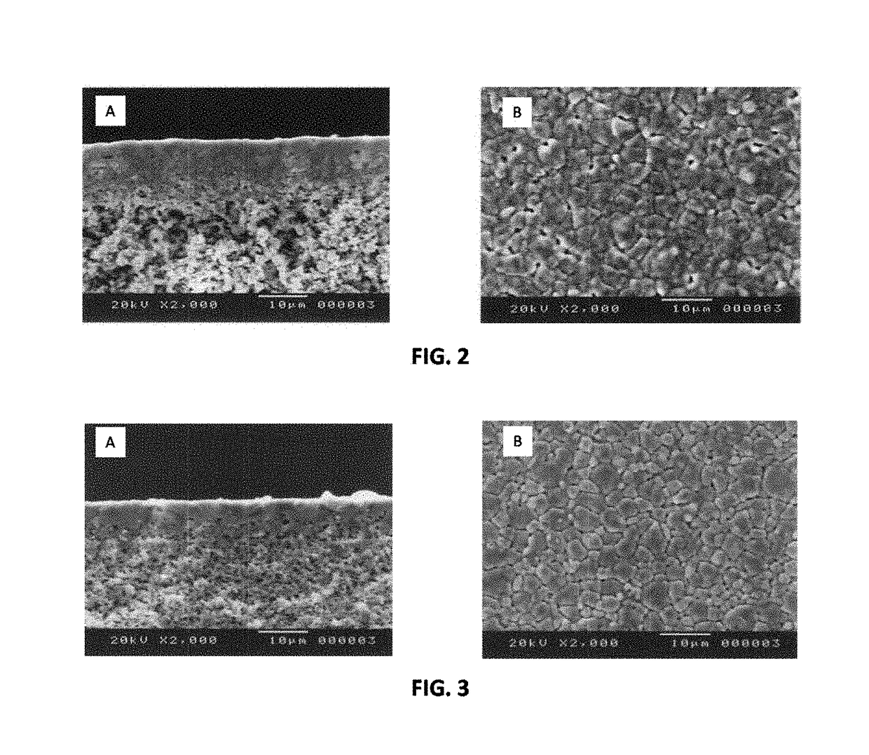 Multi-layered proton-conducting electrolyte