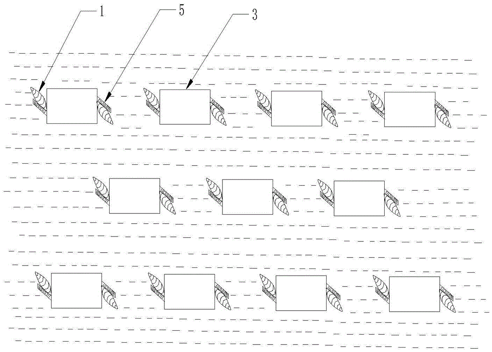 Asexual reproduction planting method for gastrodia elata