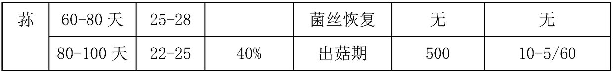 Production method for factorized square fungi bag cultivation of Dictyophora rubrovolvata