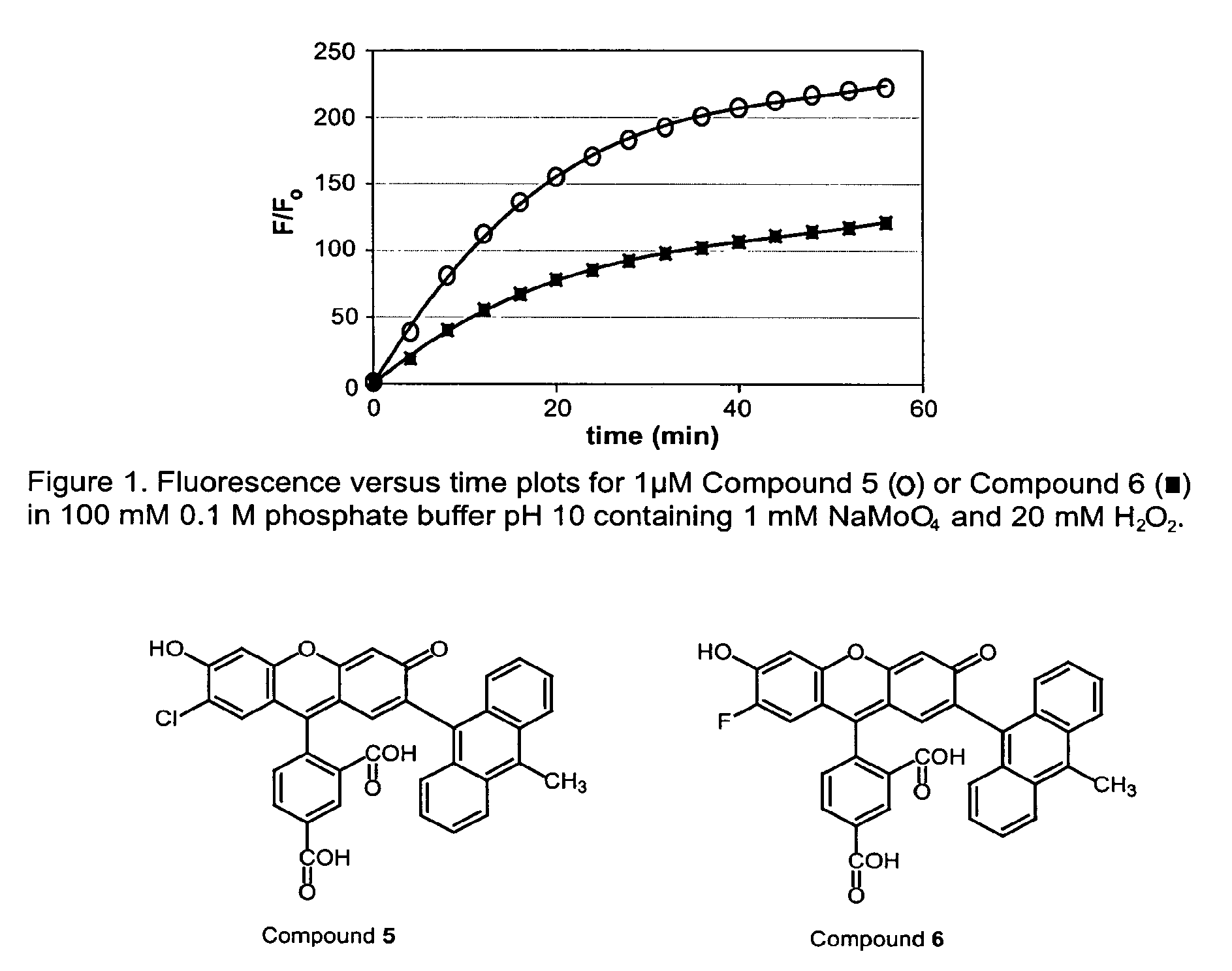 Environmental sensitive fluorogenic compounds and their application for singlet oxygen and protein detection