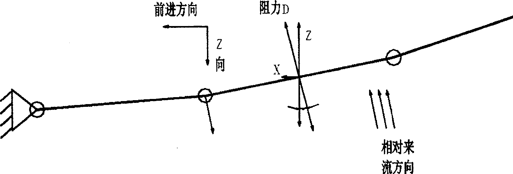 Double bodies machinery fish