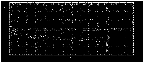 Preparation method and application of binary electrolyte gel polymer electrolyte