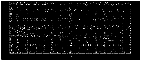 Preparation method and application of binary electrolyte gel polymer electrolyte