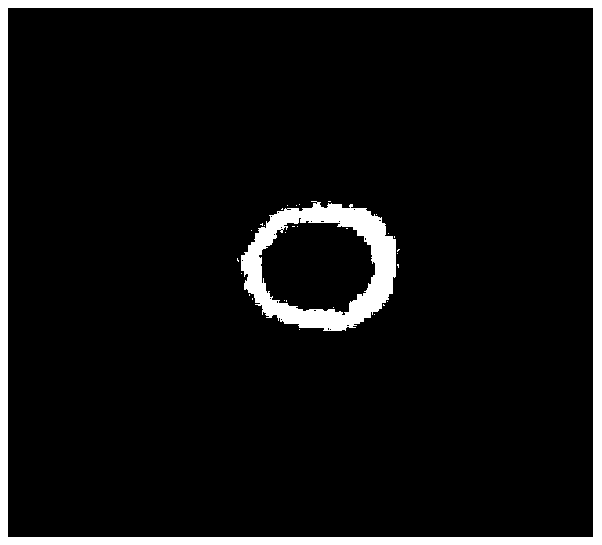 2017-M2 bacterial strain containing mannanase gene