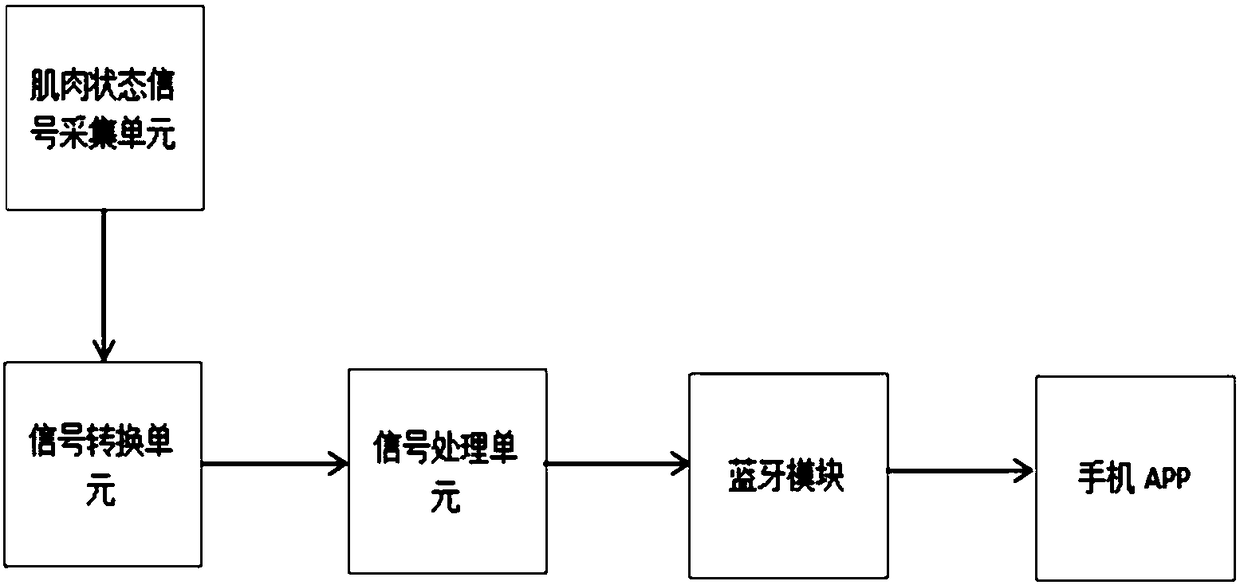 Flexible wearable motion normalization instrument