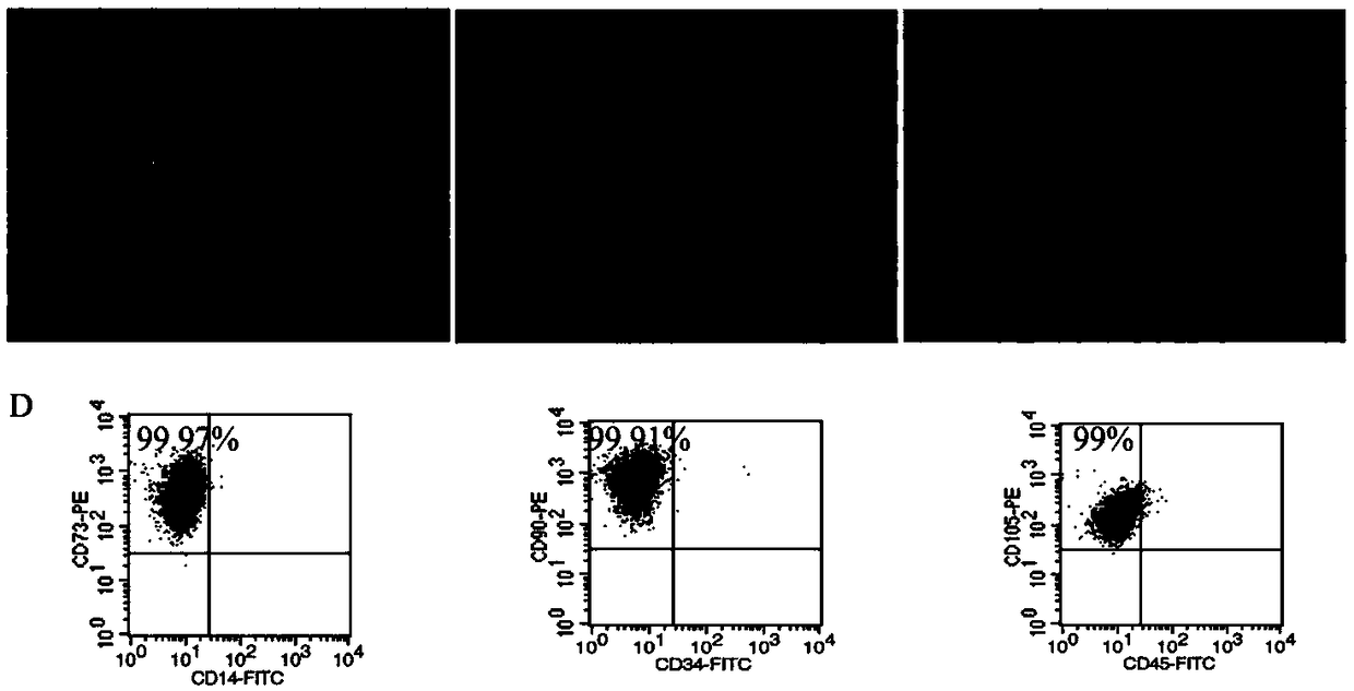 Application of mesenchymal stem cell culture from human umbilical cord or supernatant of mesenchymal stem cell culture