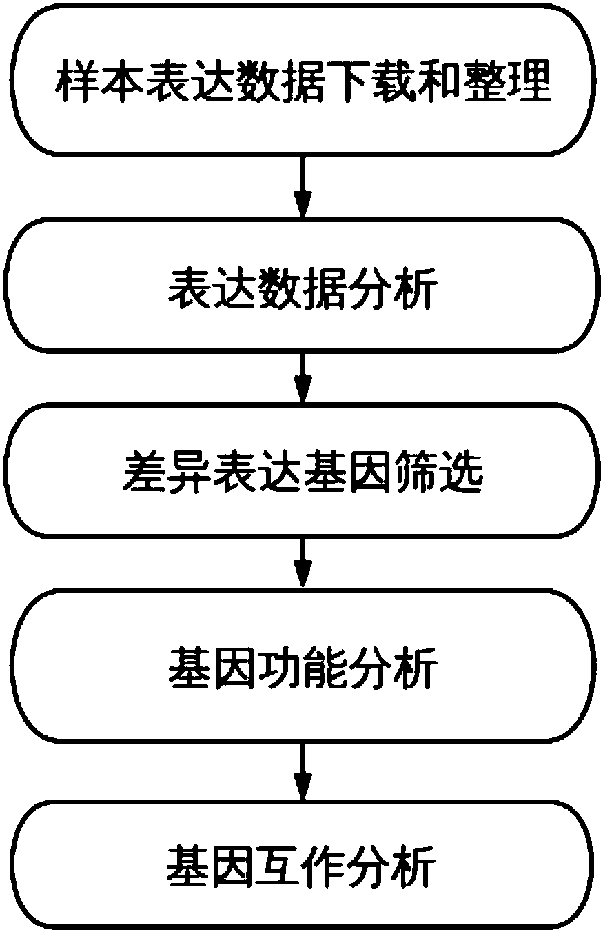 Method and system for discovering and integrating rectal cancer related genes by utilizing public data resources and analyzing functions of rectal cancer related genes, and application