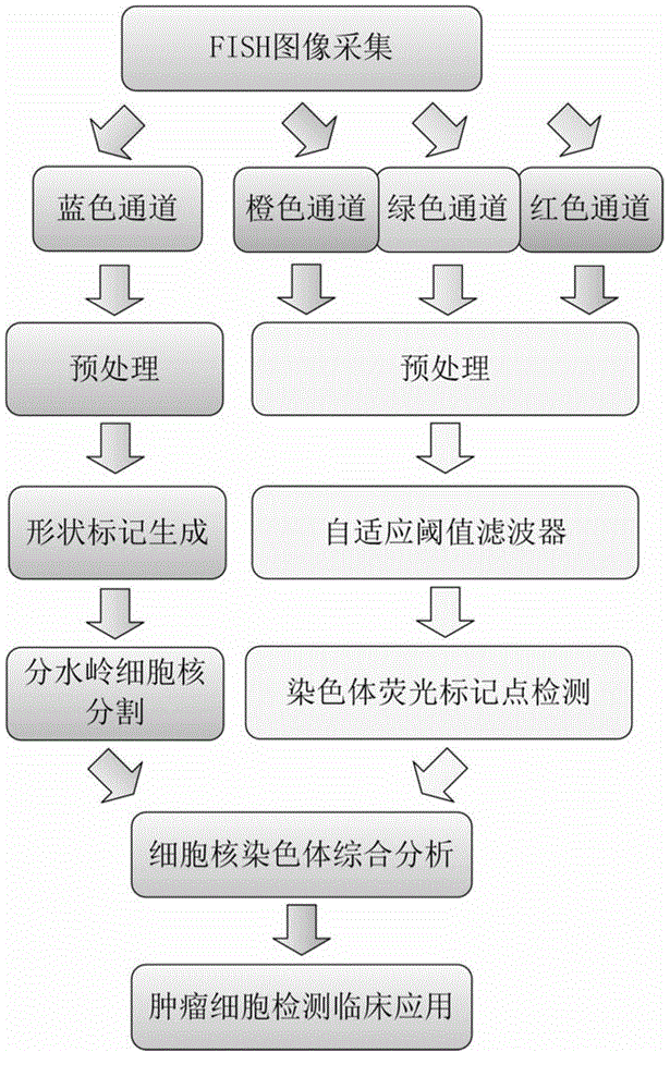 Fluorescence in situ hybridization (FISH) image parallel processing and analysis method