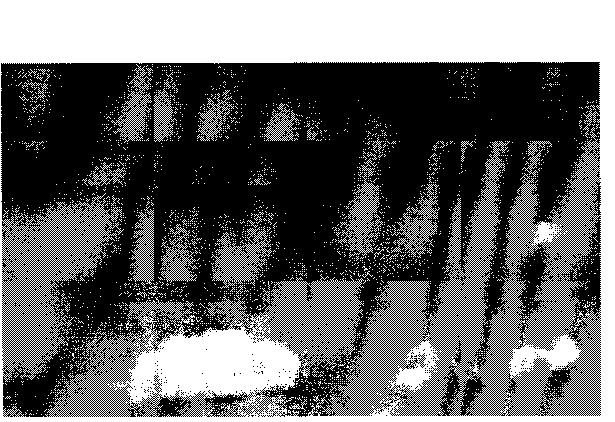 Method for detecting picture contour based on combination of level set and watershed