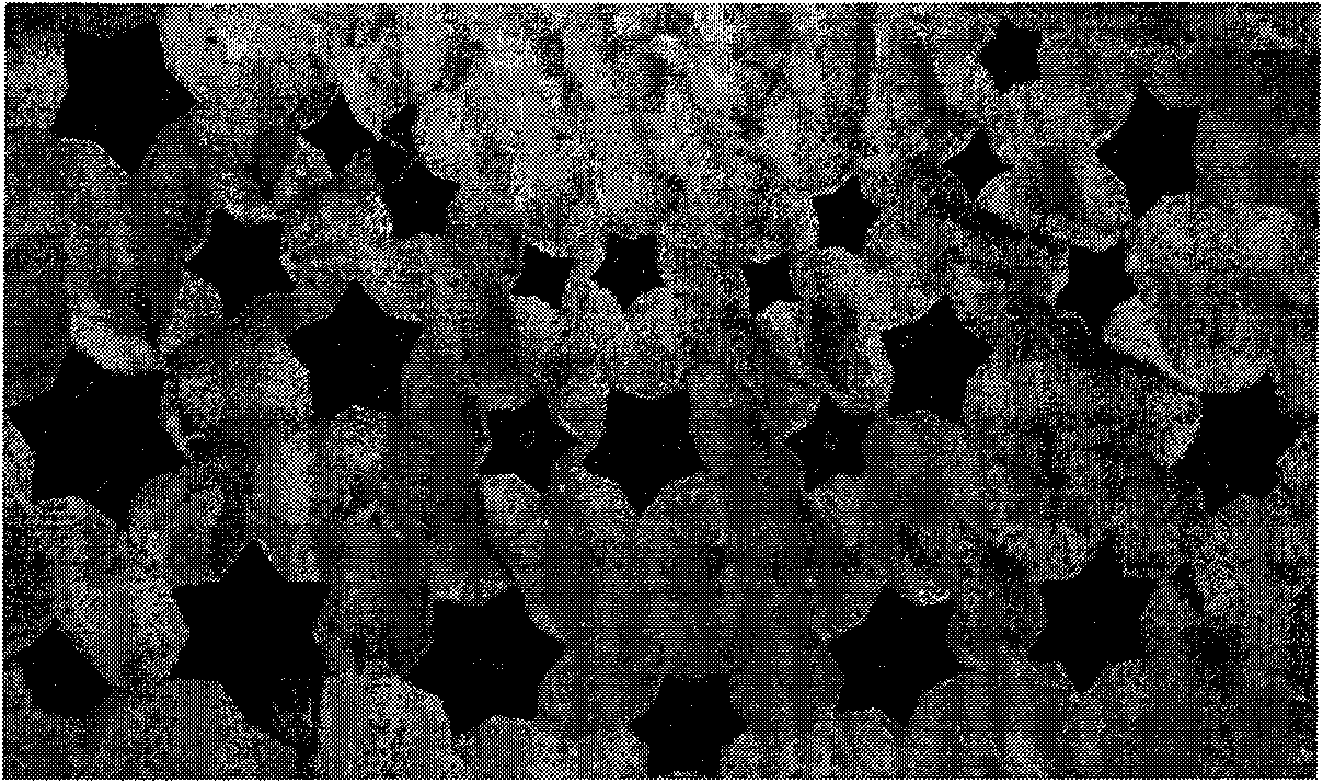 Method for detecting picture contour based on combination of level set and watershed