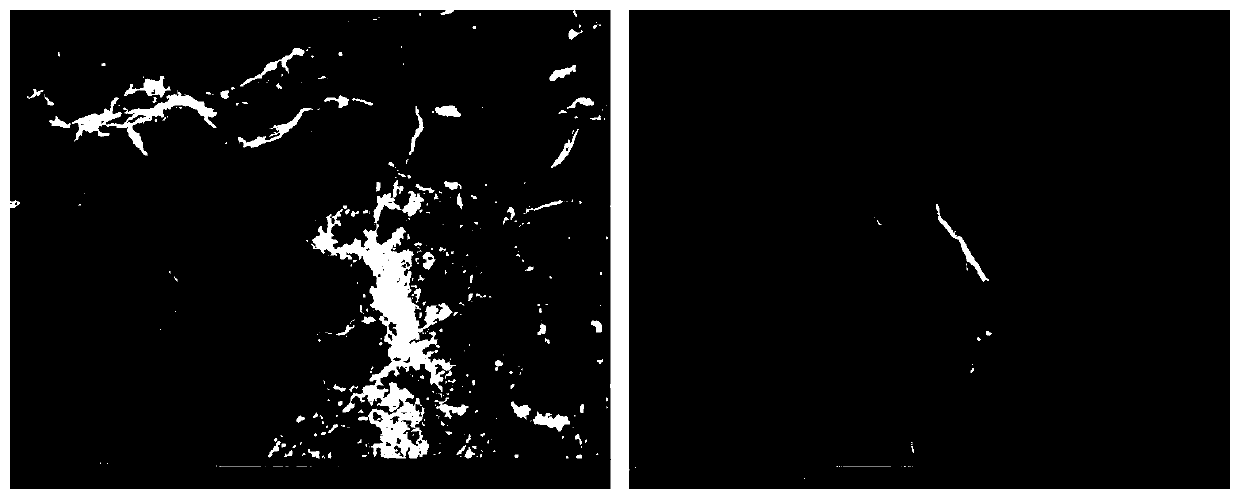 Pyridine nitrogen-enriched ultrathin carbon nanosheet material and preparation method thereof