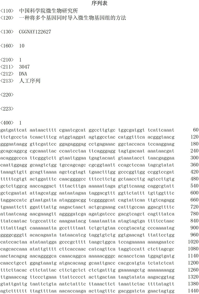 Method for simultaneously transferring multiple genes into microbial genome