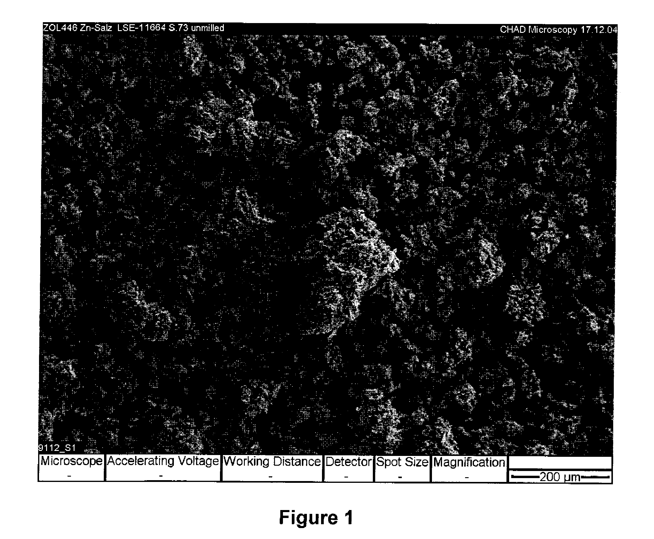 Pharmaceutical compositions comprising bisphosponates