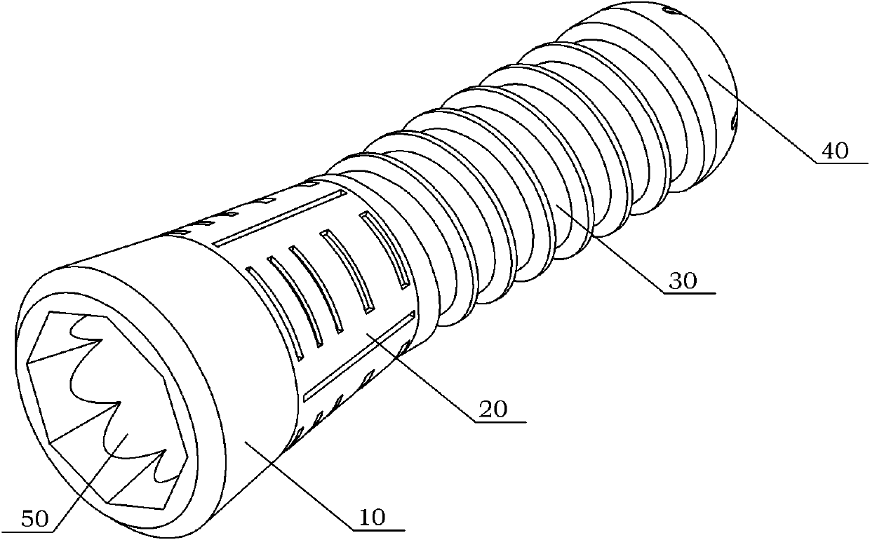 Oral implant with appropriate initial-stage load stimulation