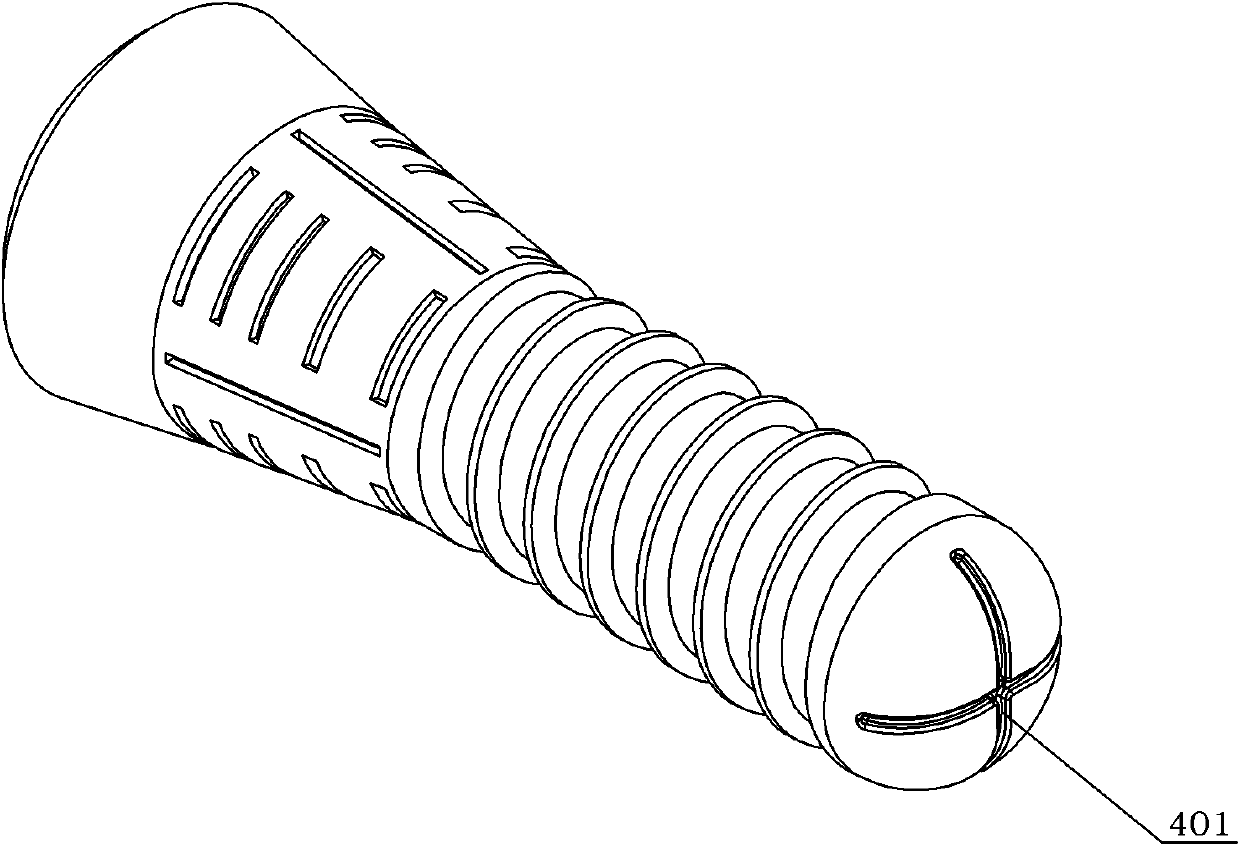 Oral implant with appropriate initial-stage load stimulation